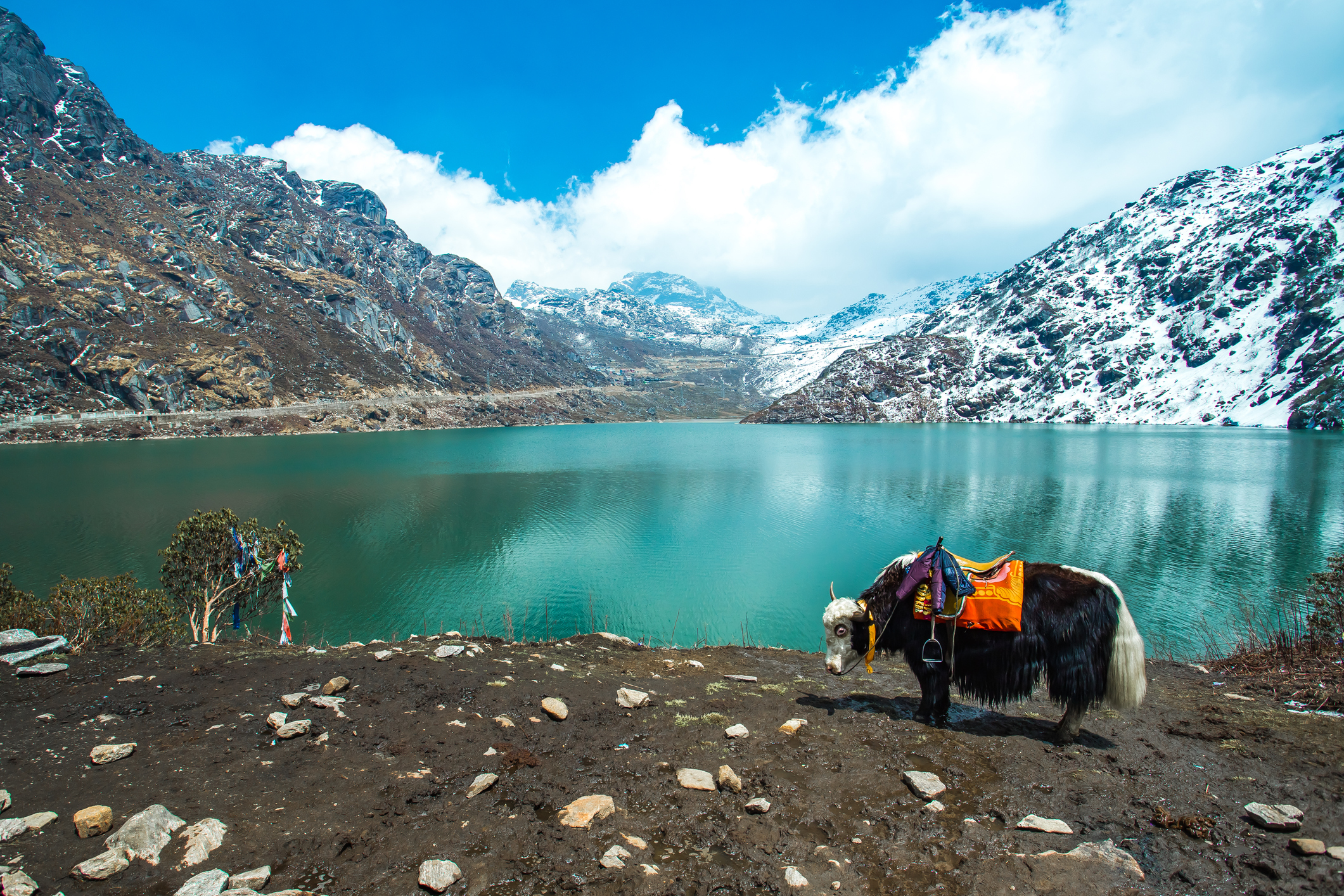 Sikkim